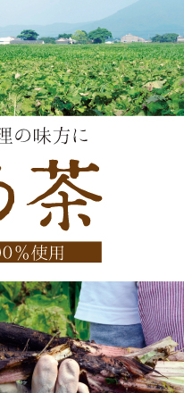 鹿児島県産ごぼう100％使用