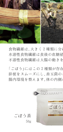 手軽に毎日「ごぼう」でカラダの中から若々しく