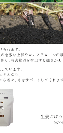 ごぼうに含まれる2種類の食物繊維の力で