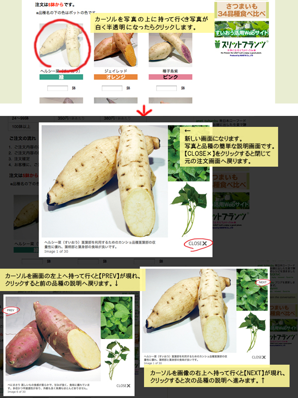 品種説明を見る方法