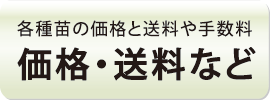 価格・送料など