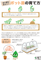 ポット苗の育て方